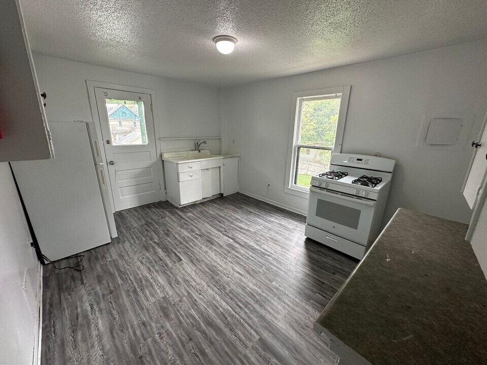 1016 E Stockbridge Ave in Kalamazoo, MI - Building Photo