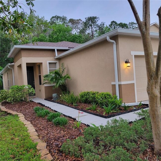 26910 Stillbrook Dr in Wesley Chapel, FL - Building Photo - Building Photo