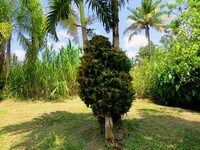 15-1414-1414 24th Ave photo'