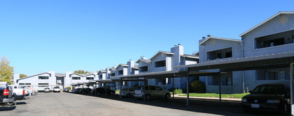 Raintree Apartments in Rio Vista, CA - Foto de edificio - Building Photo