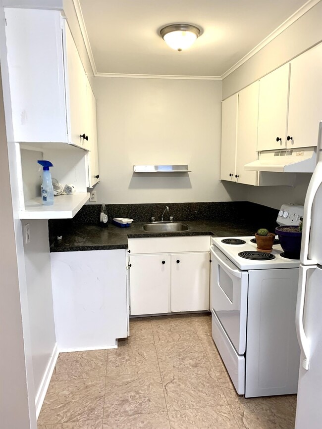82 Commonwealth Ave in Mt Pearl, NL - Building Photo - Building Photo