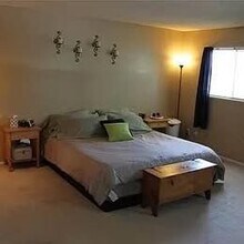 621 S Xenon Ct in Lakewood, CO - Foto de edificio - Building Photo