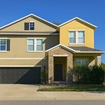 19095 Andrea Lynn Ln in Land O Lakes, FL - Building Photo