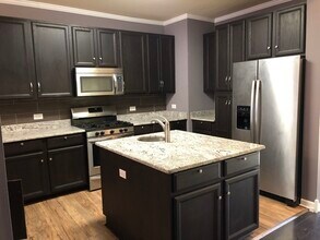 317 Alpine Springs Dr in Vernon Hills, IL - Building Photo - Building Photo