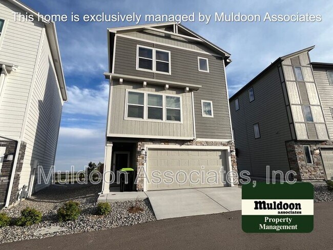 6977 Tacarcuna Wood Grv in Colorado Springs, CO - Building Photo - Building Photo