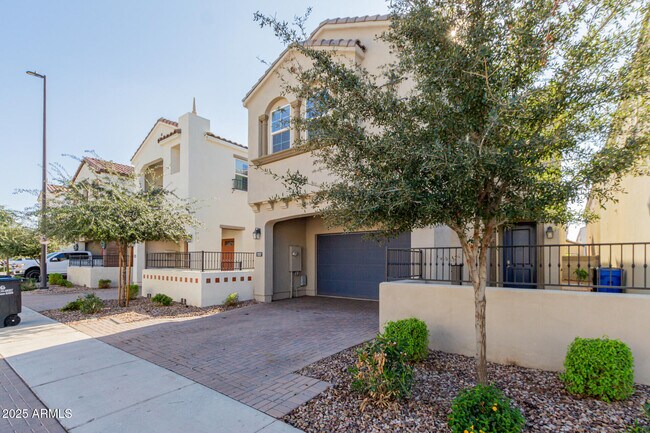 1557 E Megan St in Gilbert, AZ - Building Photo - Building Photo