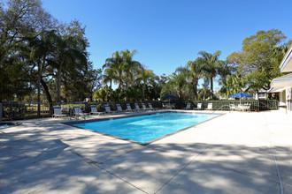 Timber Chase at Sarasota Bay in Sarasota, FL - Building Photo - Building Photo