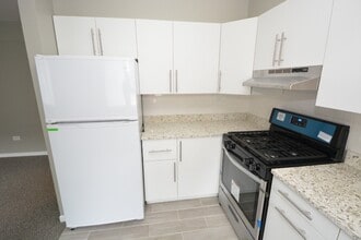 319 Bluff Ave in La Grange, IL - Foto de edificio - Building Photo