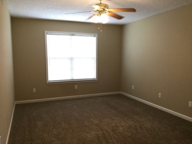 263 Clearfount Dr in Clarksville, TN - Building Photo - Building Photo