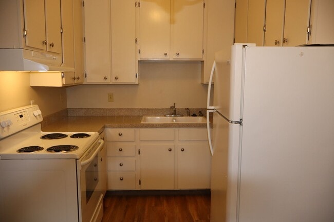 1209 W Plum St in Fort Collins, CO - Foto de edificio - Building Photo