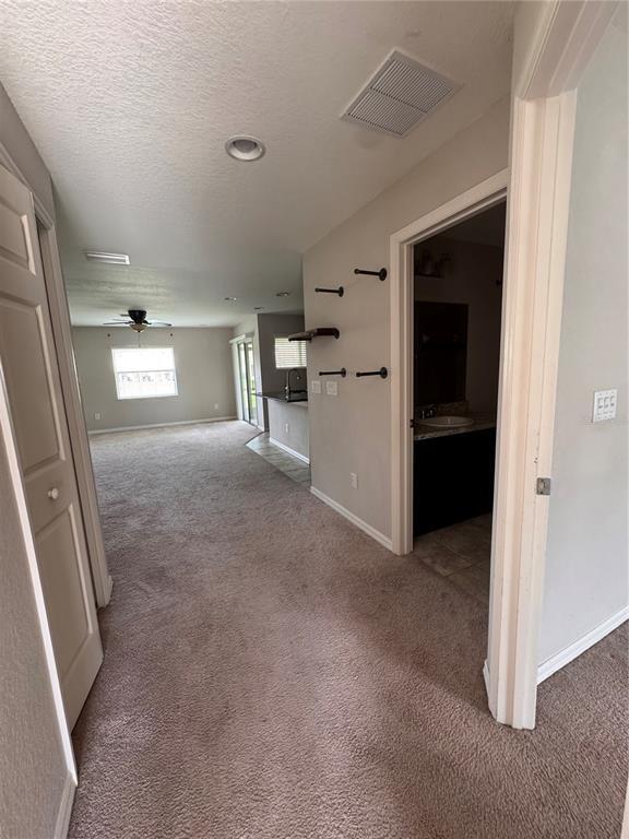 5051 Cactus Needle Ln in Wesley Chapel, FL - Building Photo - Building Photo