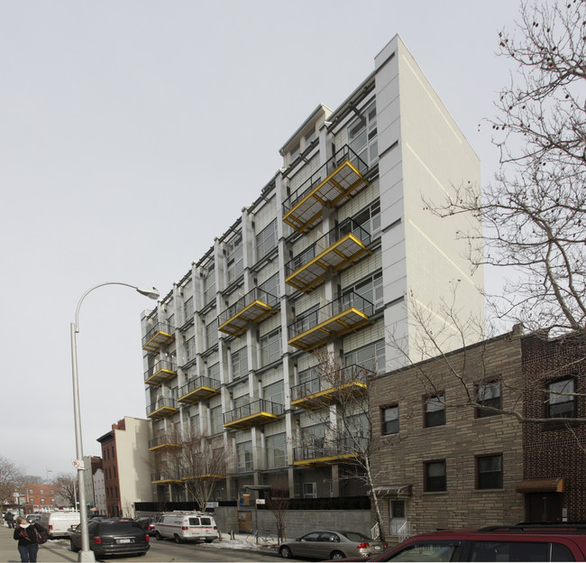 Eckford Apartments in Brooklyn, NY - Foto de edificio - Building Photo