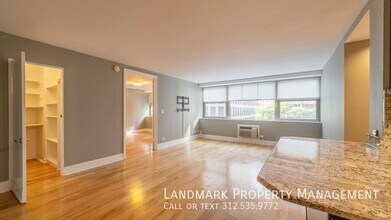 253 E Delaware Pl in Chicago, IL - Building Photo - Building Photo