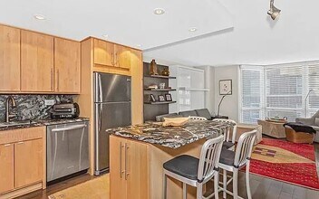 21 W Goethe St in Chicago, IL - Building Photo - Building Photo