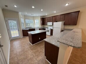 238 Maynard Summit Way in Cary, NC - Building Photo - Building Photo