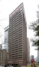 247 E Chestnut St in Chicago, IL - Building Photo - Building Photo