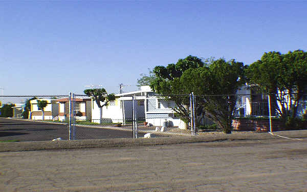 Flamingo Mobile Home Park in Glendale, AZ - Building Photo - Building Photo