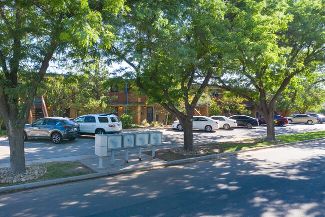 Bear Creek Apartments in Lubbock, TX - Building Photo - Building Photo