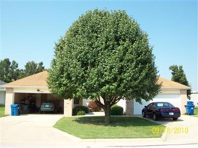 905 N Jones Ct in Nixa, MO - Foto de edificio