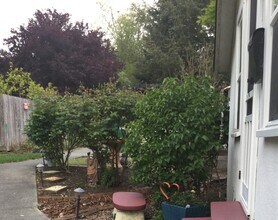 205 Virginia Ave, Unit Delightful Studio in Sebastopol, CA - Foto de edificio - Building Photo