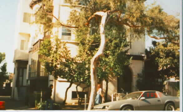 2410-2412 Dana St in Berkeley, CA - Building Photo - Building Photo