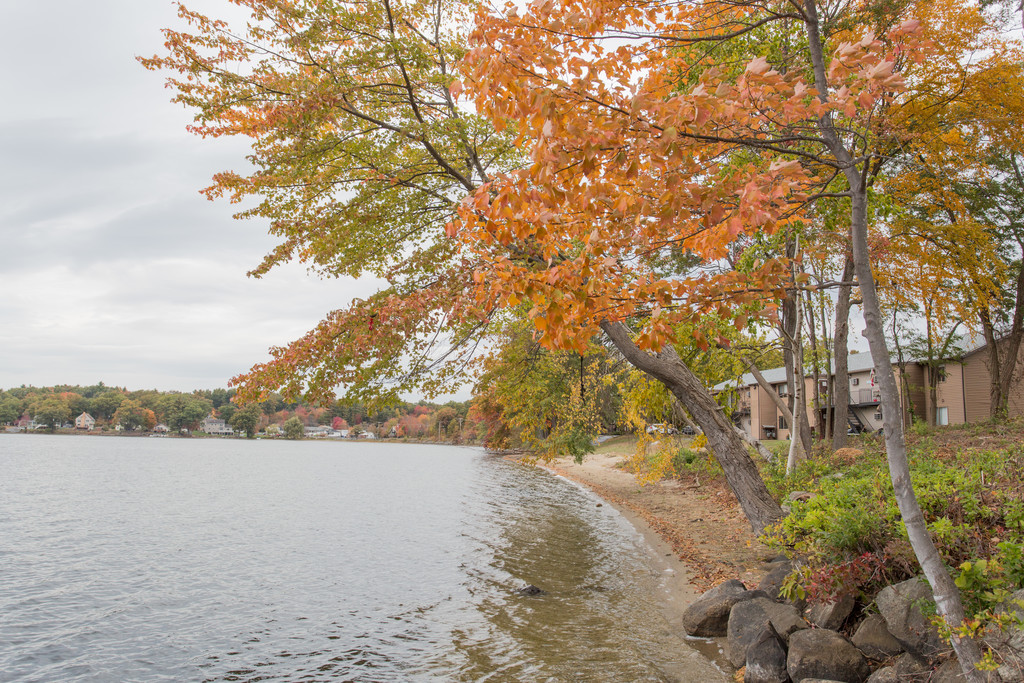 Lakeshore Apartments Dracut, MA Apartments For Rent