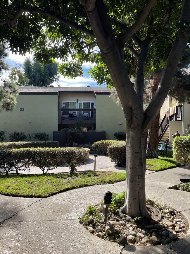 7950 Mission Center Ct, Unit C