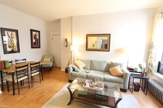 20 E Goethe St-Unit -Apt 203 in Chicago, IL - Building Photo - Building Photo