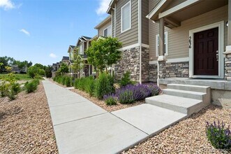 5636 Canyon View Dr in Castle Rock, CO - Building Photo - Building Photo
