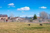 Apartments in Los Lunas, NM