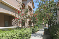 Valley Oak Apartments photo'