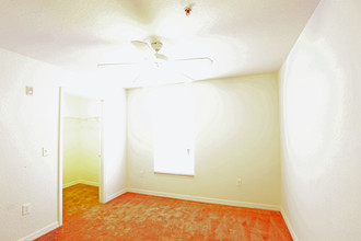 Fountainview Apartments in Tampa, FL - Building Photo - Interior Photo