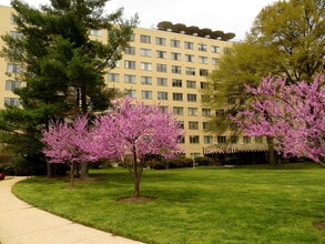 6641 Wakefield Dr in Alexandria, VA - Building Photo - Building Photo