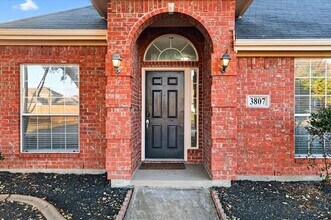3807 Farmington Dr in Richardson, TX - Building Photo - Building Photo