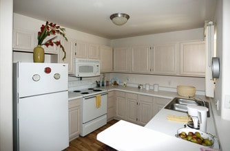 Dorinda Vista Apartments in Tucson, AZ - Foto de edificio - Interior Photo