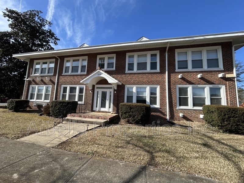 703 E Unaka Ave in Johnson City, TN - Building Photo