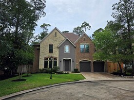8803 Van Allen Dr in The Woodlands, TX - Building Photo