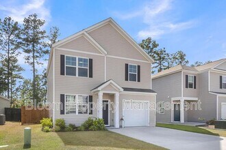 411 Broad Elm Wy in Summerville, SC - Building Photo - Building Photo