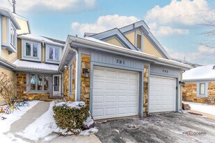 291 Tanager Ct in Deerfield, IL - Building Photo