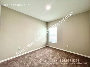34152 Verbena St in Wesley Chapel, FL - Building Photo - Building Photo