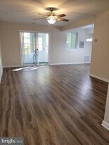 411 N Stiles Ave in Maple Shade, NJ - Building Photo