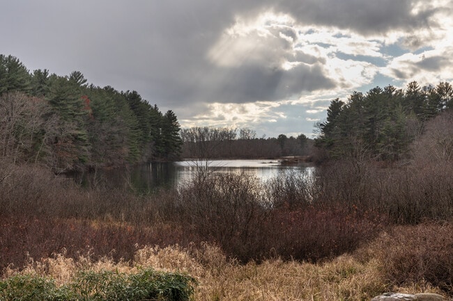 Apartments for rent in Easton, MA