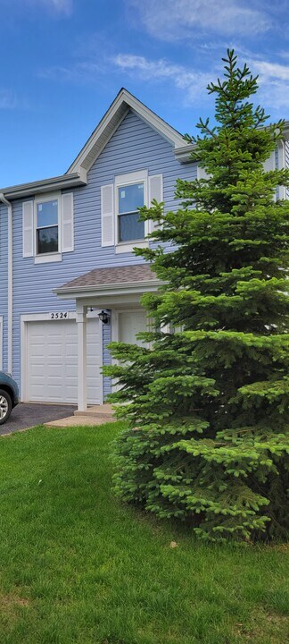 2524 Warm Springs Ln in Naperville, IL - Building Photo