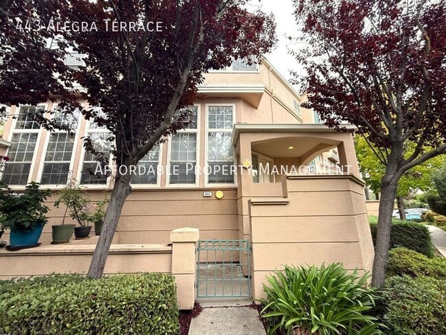 443 Alegra Terrace in Milpitas, CA - Building Photo - Building Photo