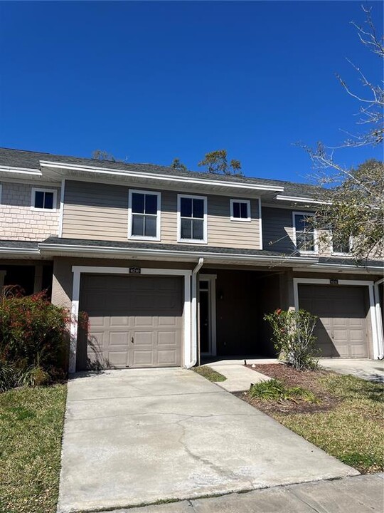 8210 Downpatrick Ct in Tampa, FL - Building Photo