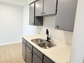 591 Wellington Ave in Windsor, ON - Building Photo - Building Photo