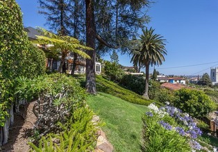 The Chateau in Los Angeles, CA - Building Photo - Building Photo