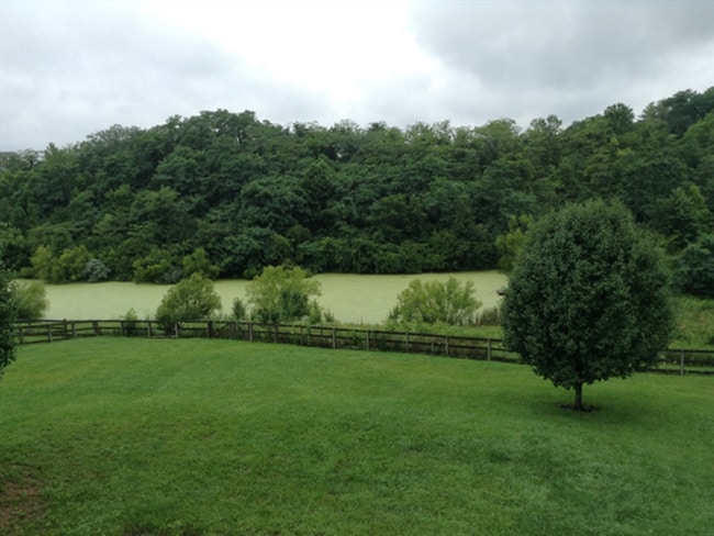 10296 Manassas court in Independence, KY - Building Photo - Building Photo
