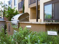 Pick fresh herbs while grilling at one of six BBQ grills through out the community - Terrena Apartment Homes in Los Angeles, California