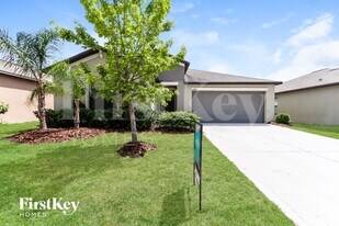 12608 Lemon Pepper Dr in Riverview, FL - Building Photo
